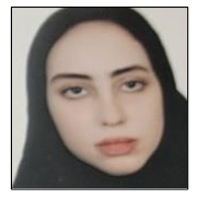 حدیثه عرب فیروزجایی؛ نمودار پیشرفت در 1 سال، 2913 پاسخ صحیح