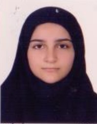 فاطمه مهابادی، نمودار پیشرفت در 3 سال، 2801 پاسخ صحیح