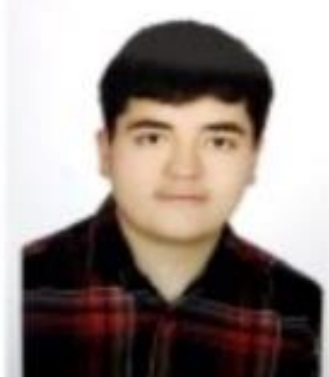 امیرحسین شمس کرمانی، نمودار پیشرفت در 3 سال، 1315 پاسخ صحیح