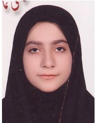 سارا موسوی؛ نمودار پیشرفت در 2 سال، 2808 پاسخ صحیح