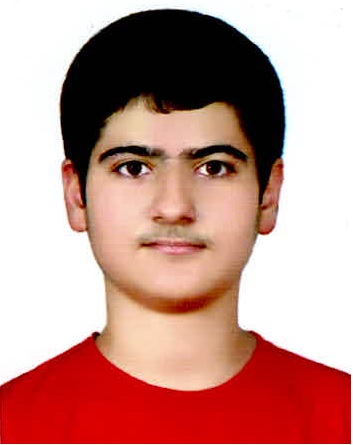 امیرعلی شهبازی؛ نمودار پیشرفت در 1سال، 29آزمون، 2341پاسخ صحیح