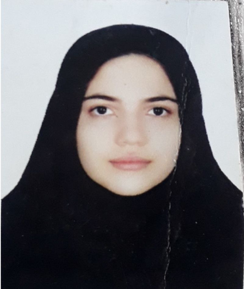 یسرا ظفرپور؛ نمودار پیشرفت در 10 سال، 254 آزمون، 2639 پاسخ صحیح