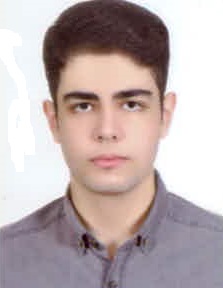 رامتین مدللی؛ نمودار پیشرفت در 3 سال، 101 آزمون، 2079 پاسخ صحیح