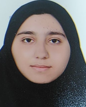 پانیذ حسینی ، نمودار پیشرفت در 3 سال ، 22 آزمون،877 پاسخ صحیح