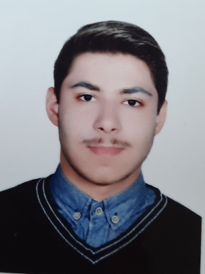 امیرحسین نظری ، نمودار پیشرفت در 3 سال ، 26 آزمون،758 پاسخ صحیح