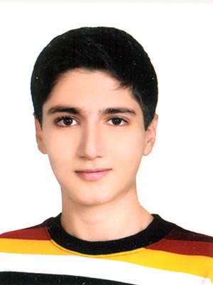 امیر عباس نقوی ، نمودار پیشرفت در 2 سال ، 34 آزمون،1154 پاسخ صحیح