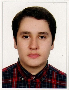 سینا رحیمیان ، نمودار پیشرفت در 2 سال ، 15 آزمون،500 پاسخ صحیح