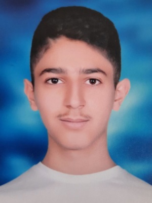 آریا قهرمانی، نمودار پیشرفت در 2 سال ، 28 آزمون،848 پاسخ صحیح