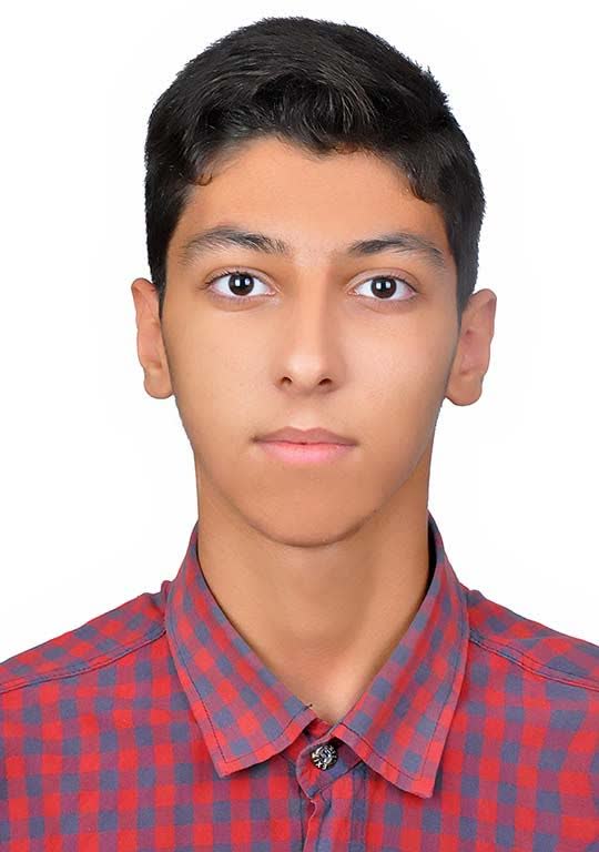 امیرحسین علی پورشهربابکی ، کسب رتبه 8 منطقه 2 ریاضی از بیرجند