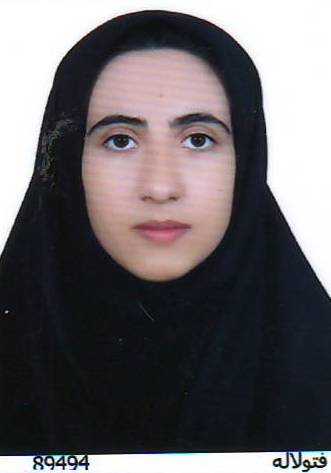 گفت و گو با برتر ازمون‌های تابستان : گلشید رستمی