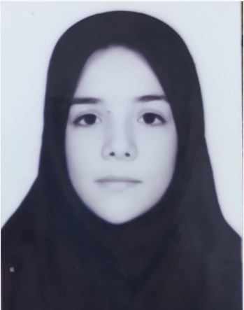 گفتگو با انیس جوی، قهرمانان تابستان دوازده انسانی