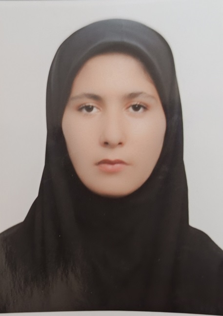 گفتگو با نگین دبستانی، قهرمانان تابستان دوازده انسانی