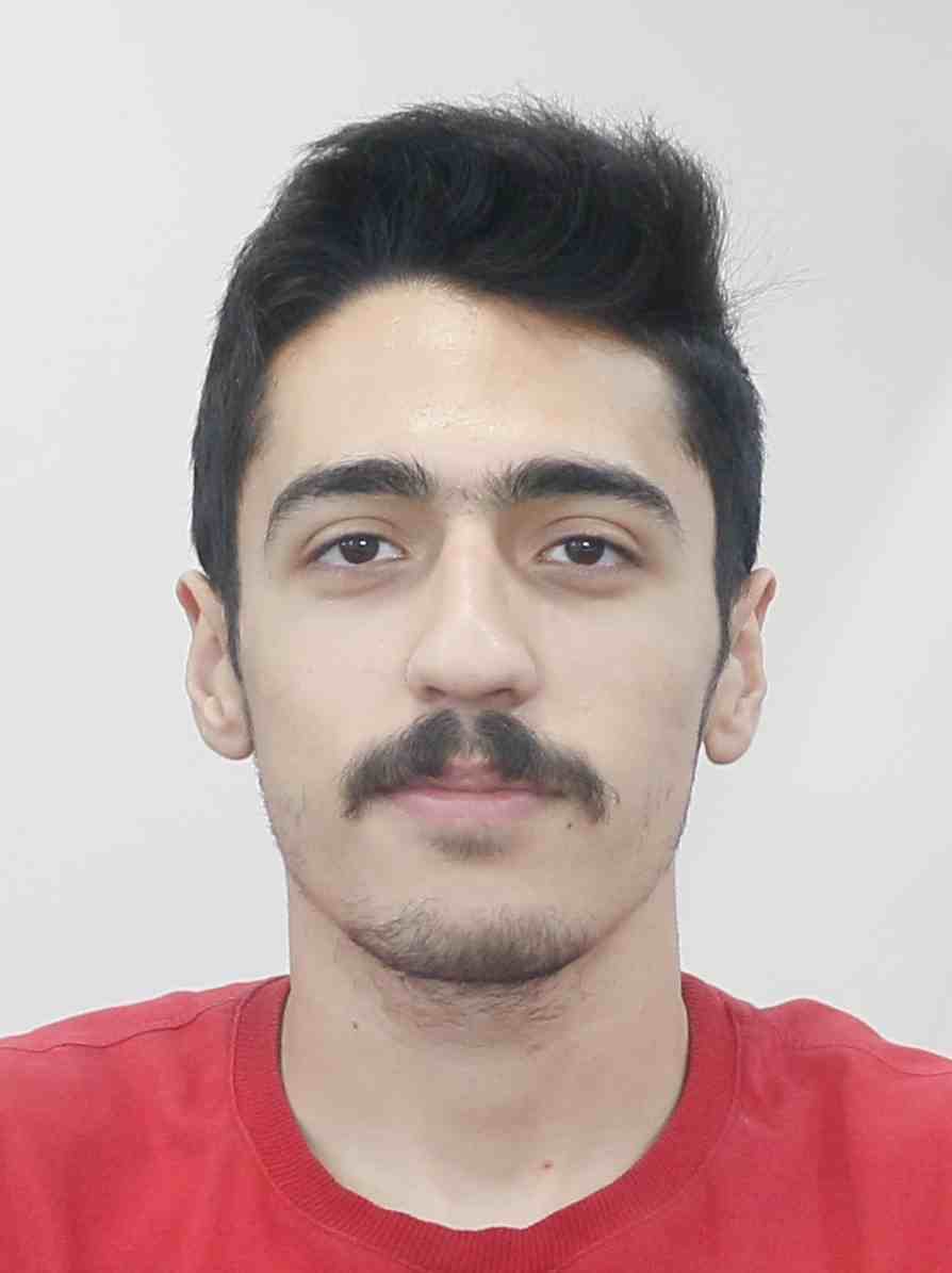 آرش بابایی رتبه 11 برنامه راهبردی کارشناسی شده است