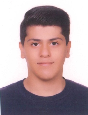 آروین مهرپویا: تعادل بین تست و تشریحی باعث افزایش راندمان است