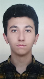 مصاحبه با سید مصطفی حسینی دوازدهم تجربی تراز بالای 6000