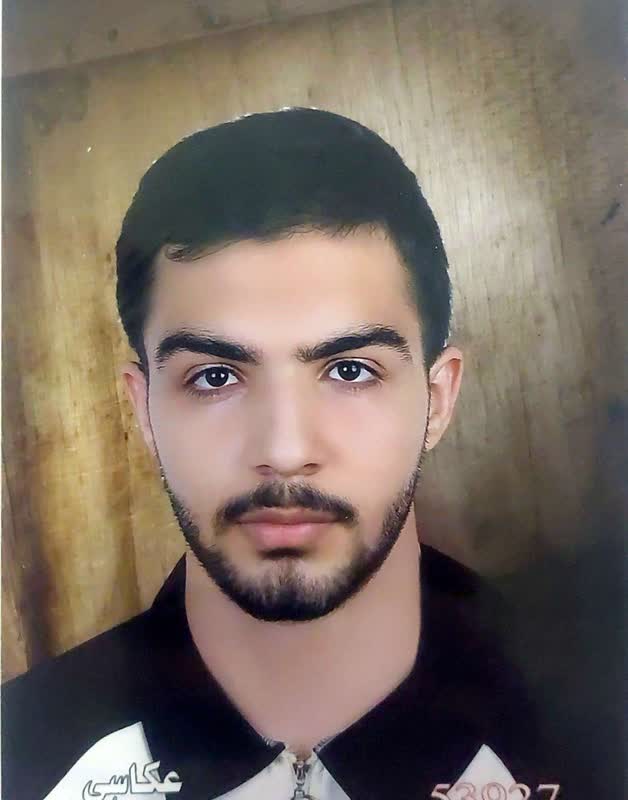 گفت و گو با محمد ابوالفتحی؛کارنامه پروژه ای، نمودار انگیزه بخش