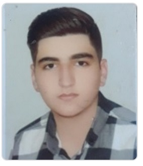 مصاحبه با دانش آموز نویدرضا علیپور، شرکت در آزمونهای قلم چی