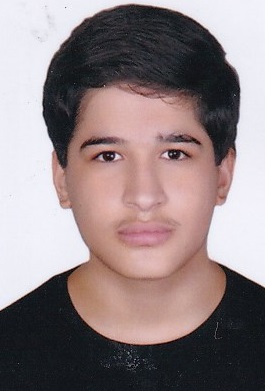 گفتگو با سید آرتین علوی دوازدهم شبکه و نرم افزار از آمل