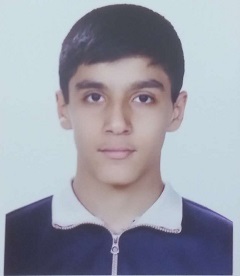 محمدعلی ادیبی هدف من از تحلیل فهمیدن مفهوم سوالات است