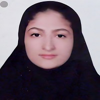 ستایش حبیبی؛  کانونی برتر از متوسطه اول تا کنکور