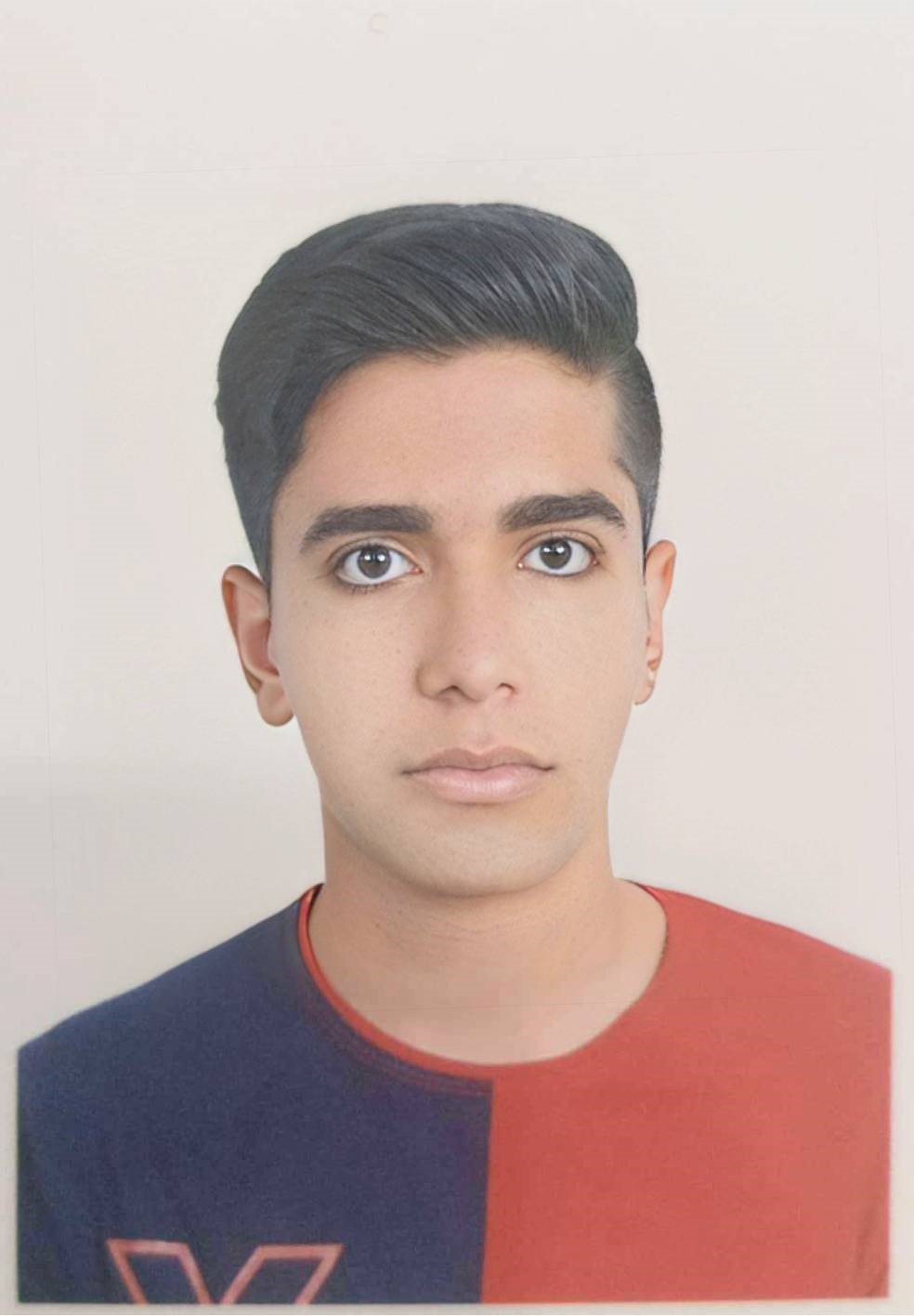 امیرعلی مولایی بردسیری ؛یازدهم تجربی قهرمان پیوستگی از جیرفت