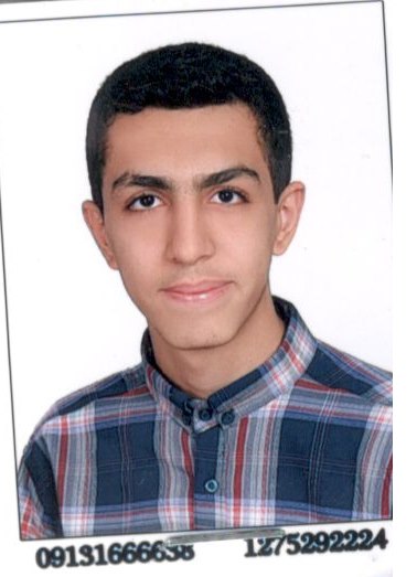 گفتگو با دانش آموز محمدحسین توکلی  پایه دوازدهم تجربی