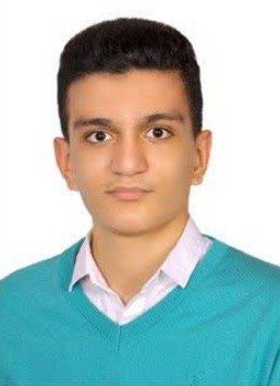 گفتگو با محمدرضا سالمی -محمدرضا از مسیر رشد ترازش میگوید.