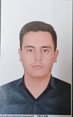 گفت و گو با محمدامین محبوبی