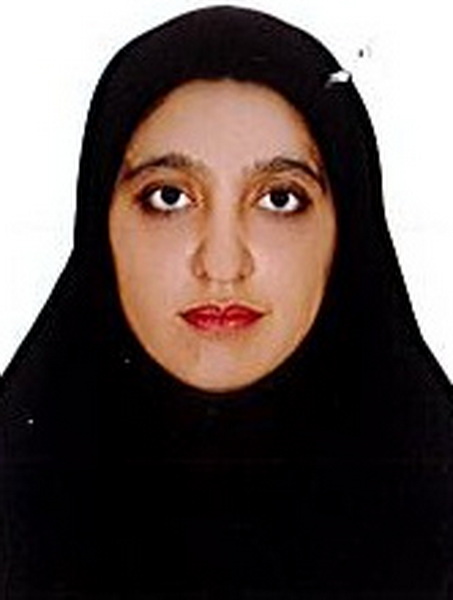 سارا خانی : مطالعه مفهومی، تست آموزشی و بررسی خطاها