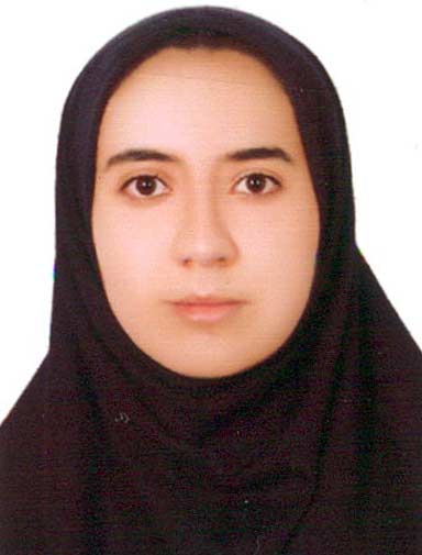 گفت و گو با فاطیما ونایی پیوستگی آزمون، منحصرا زبان