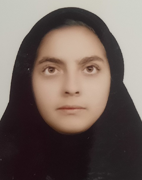 گفت و گو با مهنا امیری حسینی قهرمان پیشرفت از دهگلان