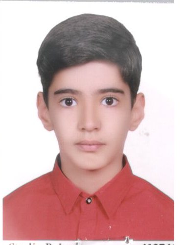 گفت و گو با محمدحسن فتحی پور  دانش آموز پایه ششم