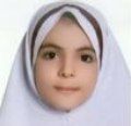 آرشین شارعی:کارنامه دستاورد ابزاری کاربردی جهت شناخت
