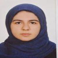 گفت و گو با مشکات باطنی ، دانش آموز قهرمان پیوستگی