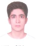 مهیار قوامی -قهرمان پیوستگی
