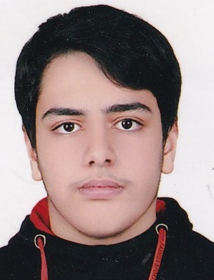 علی شکوهی مجد؛ نمودار پیشرفت در 5 سال، 165 آزمون، 4199 پاسخ صحیح