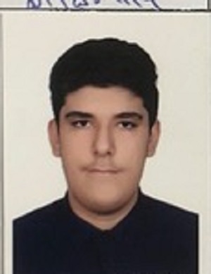 ایلیا اشرفی:نمودار پیشرفت در 4 سال، 72 آزمون، 807 پاسخ صحیح