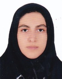 گفت و گو با مهروز عبدلی قهرمان پیوستگی تابستان از اراک