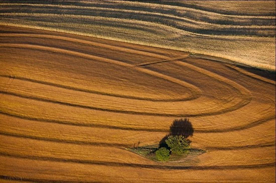 تصاویر هوایی دیدنی از مزارع کشاورزی ,مزارع کشاورزی,تصاویر هوایی,عکس های طبیعت