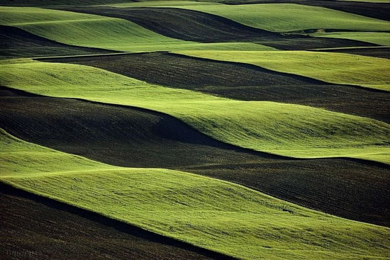 تصاویر هوایی دیدنی از مزارع کشاورزی ,مزارع کشاورزی,تصاویر هوایی,عکس های طبیعت