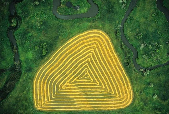 تصاویر هوایی دیدنی از مزارع کشاورزی ,مزارع کشاورزی,تصاویر هوایی,عکس های طبیعت