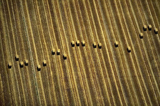 تصاویر هوایی دیدنی از مزارع کشاورزی ,مزارع کشاورزی,تصاویر هوایی,عکس های طبیعت