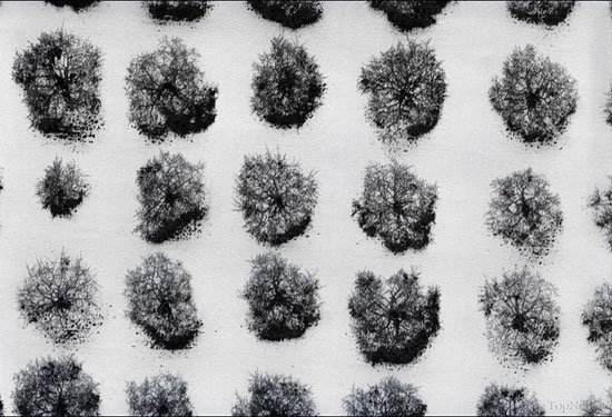 تصاویر هوایی دیدنی از مزارع کشاورزی ,مزارع کشاورزی,تصاویر هوایی,عکس های طبیعت