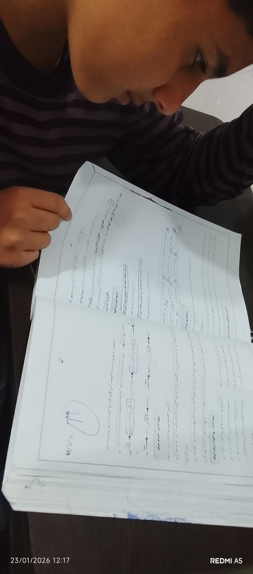 گفت و گو با امیررضا مرادیان، قهرمان پیشرفت از پایه نهم