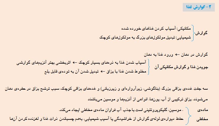 گوارش و جذب مواد در بدن - گوارش غذا در دهان