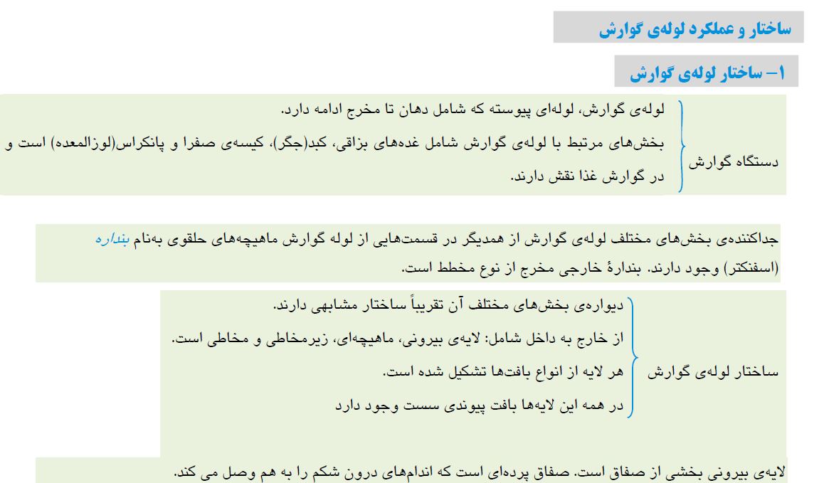 گوارش و جذب مواد - ساختار و عملکرد لوله گوارش