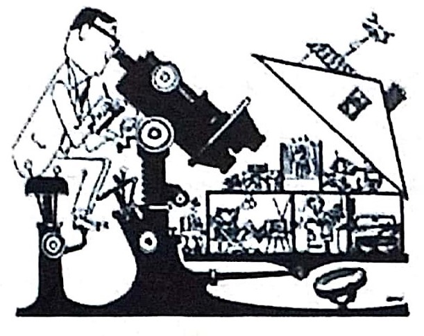 نظم اجتماعی - جامعه شناسی 3- دانیال وجدانی مقدم