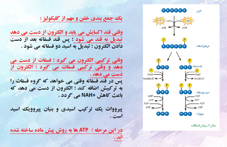 قندکافت (گلیوکولیز)