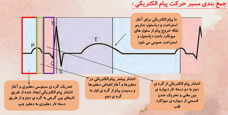 جمع بندی نوار قلب (الکتروکاردیوگرافی ) - ملیکا کلانتری