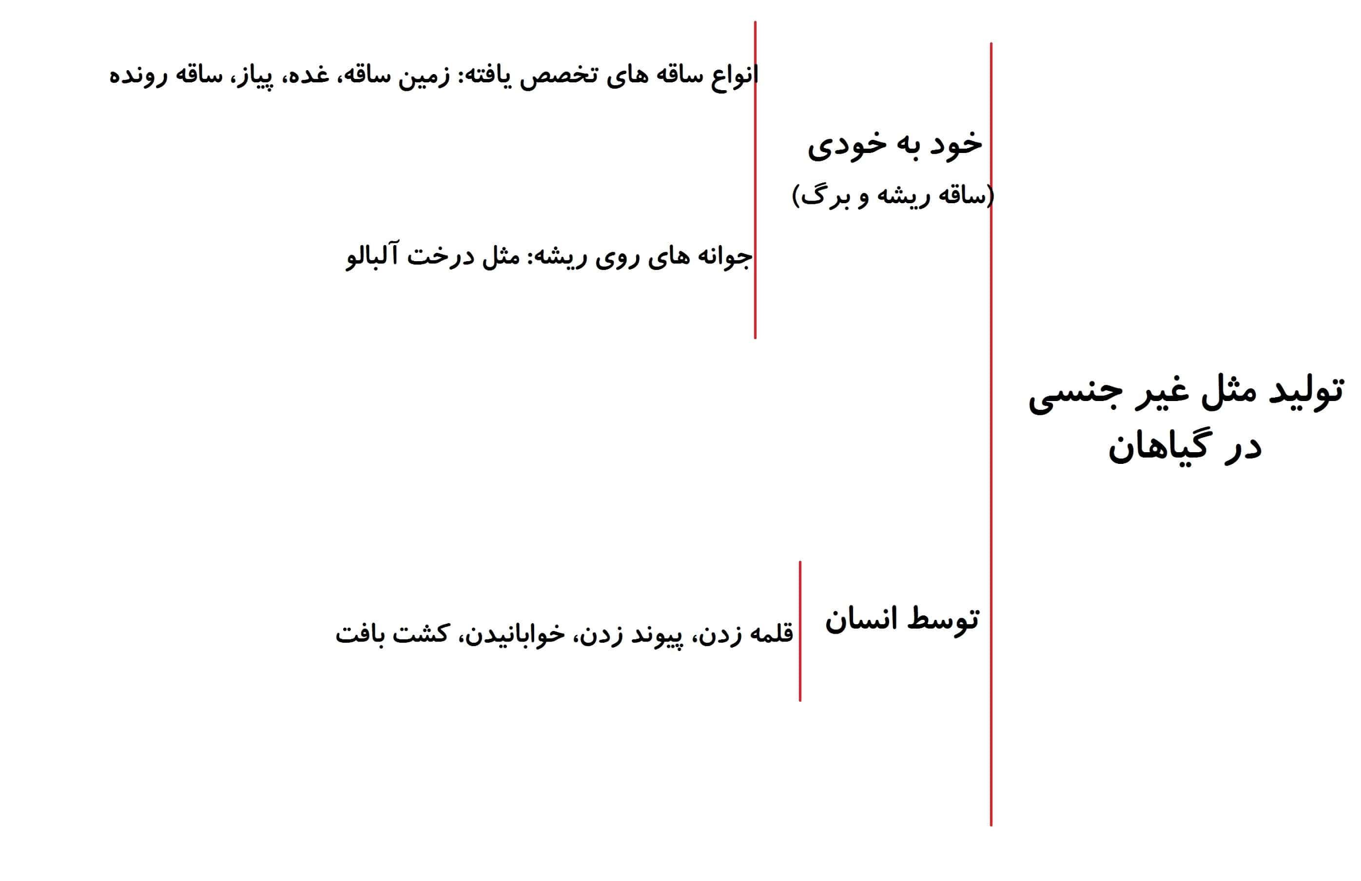 تولید مثل غیرجنسی گیاه-زیست-درسنامه+انیمیشن+تست -مهدی خداوندلو
